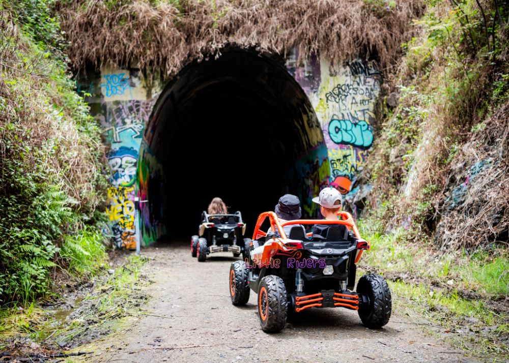 2026 2X24V CAN AM MAVERICK 4X4 2 Seater DELUXE Kids Ride On Car with Remote Control