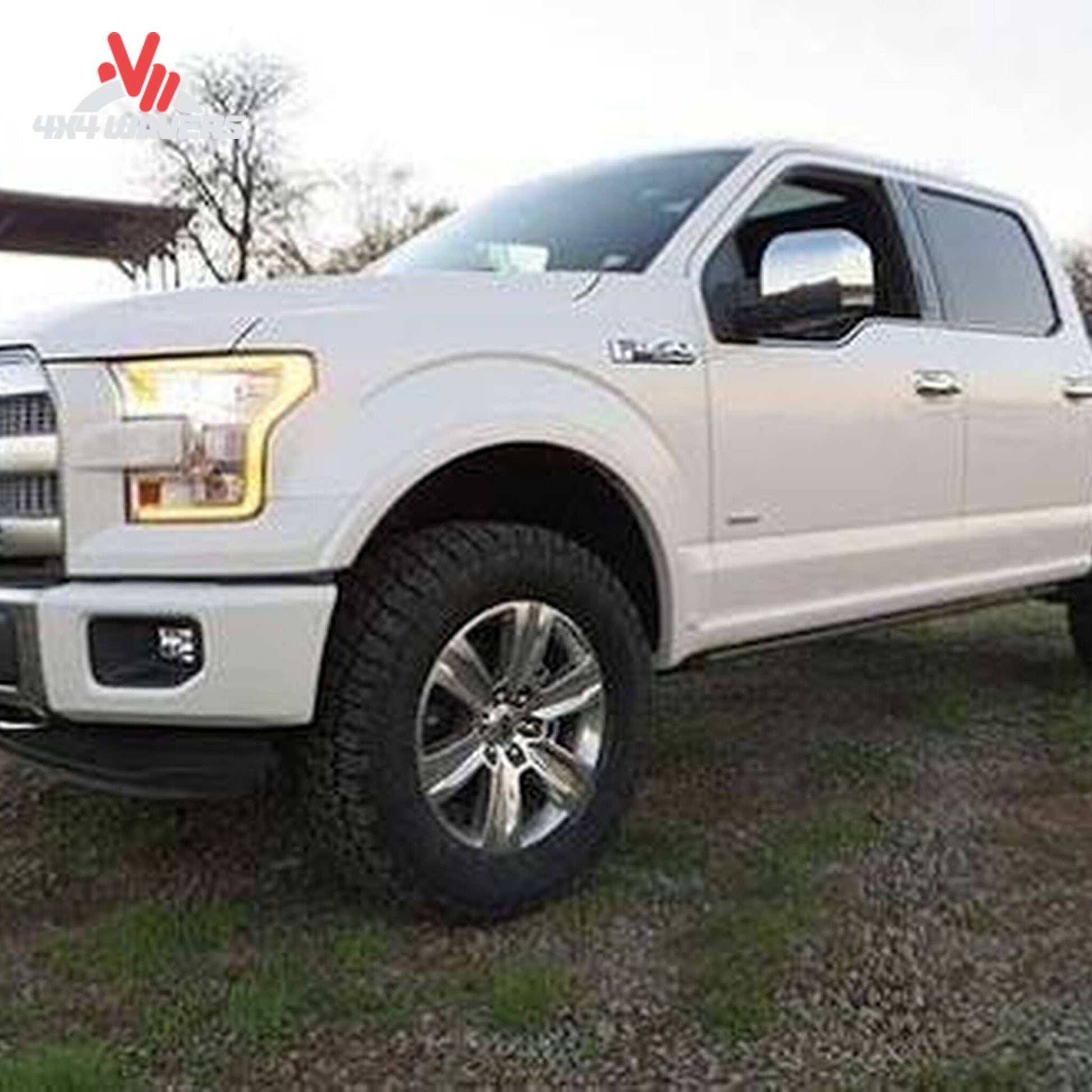 BDS 2.5-inch leveling kit with NX2 shocks installed on a Ford F-150 09-20 2WD/4WD, showing front suspension lift and stance