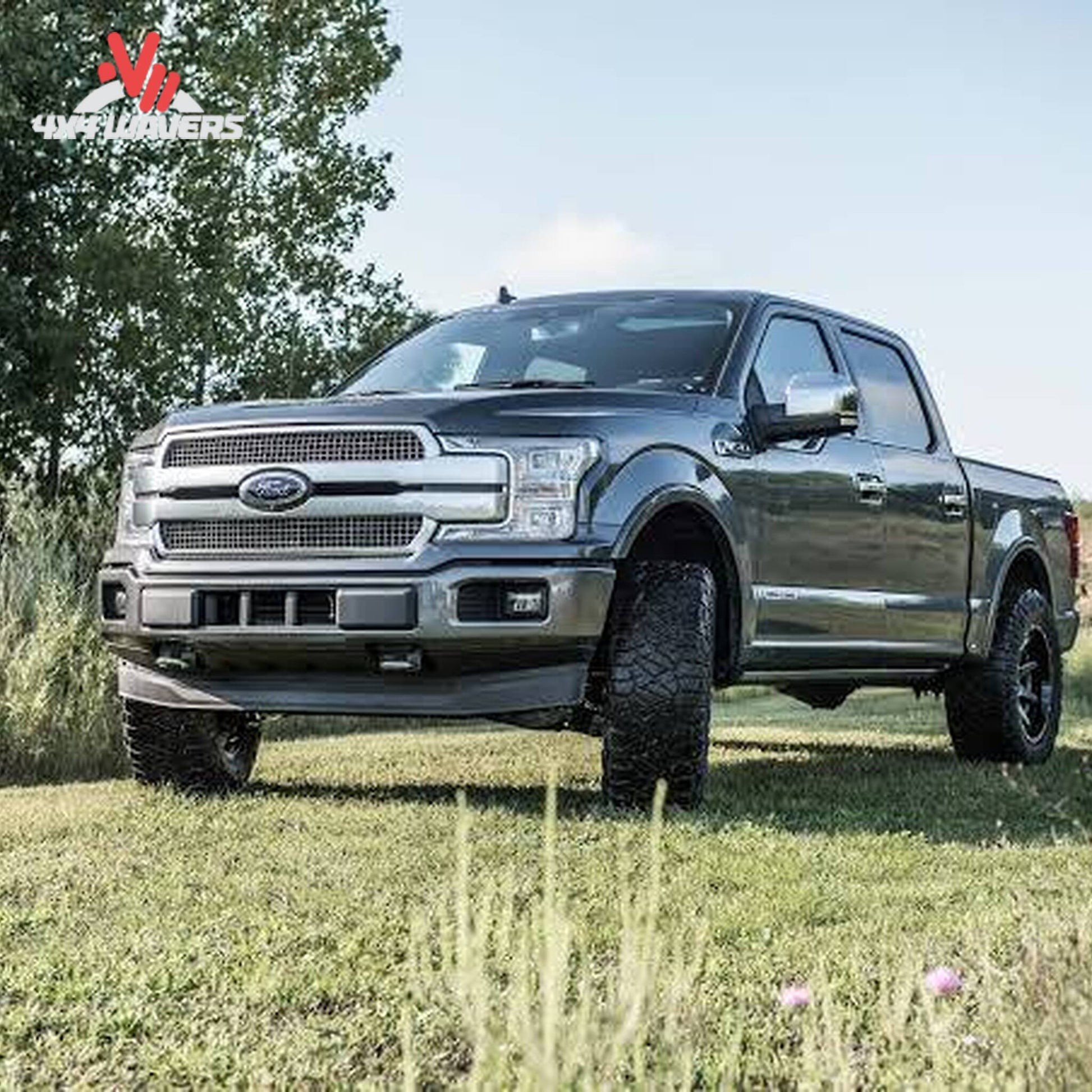 BDS 2-inch leveling kit with FOX 2.0 shocks installed on a 14-20 Ford F-150 4WD for improved stance and performance.