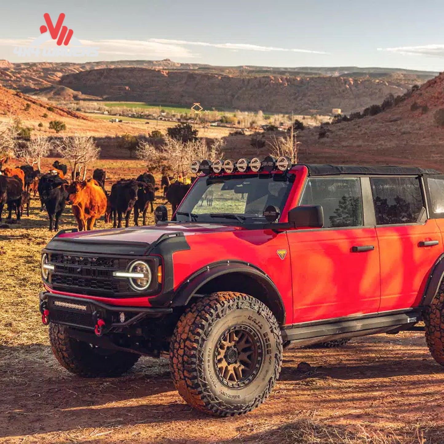 Havoc Offroad EVOC bolt-on style fender flares installed on a four-door Ford Bronco with oversized off-road tires