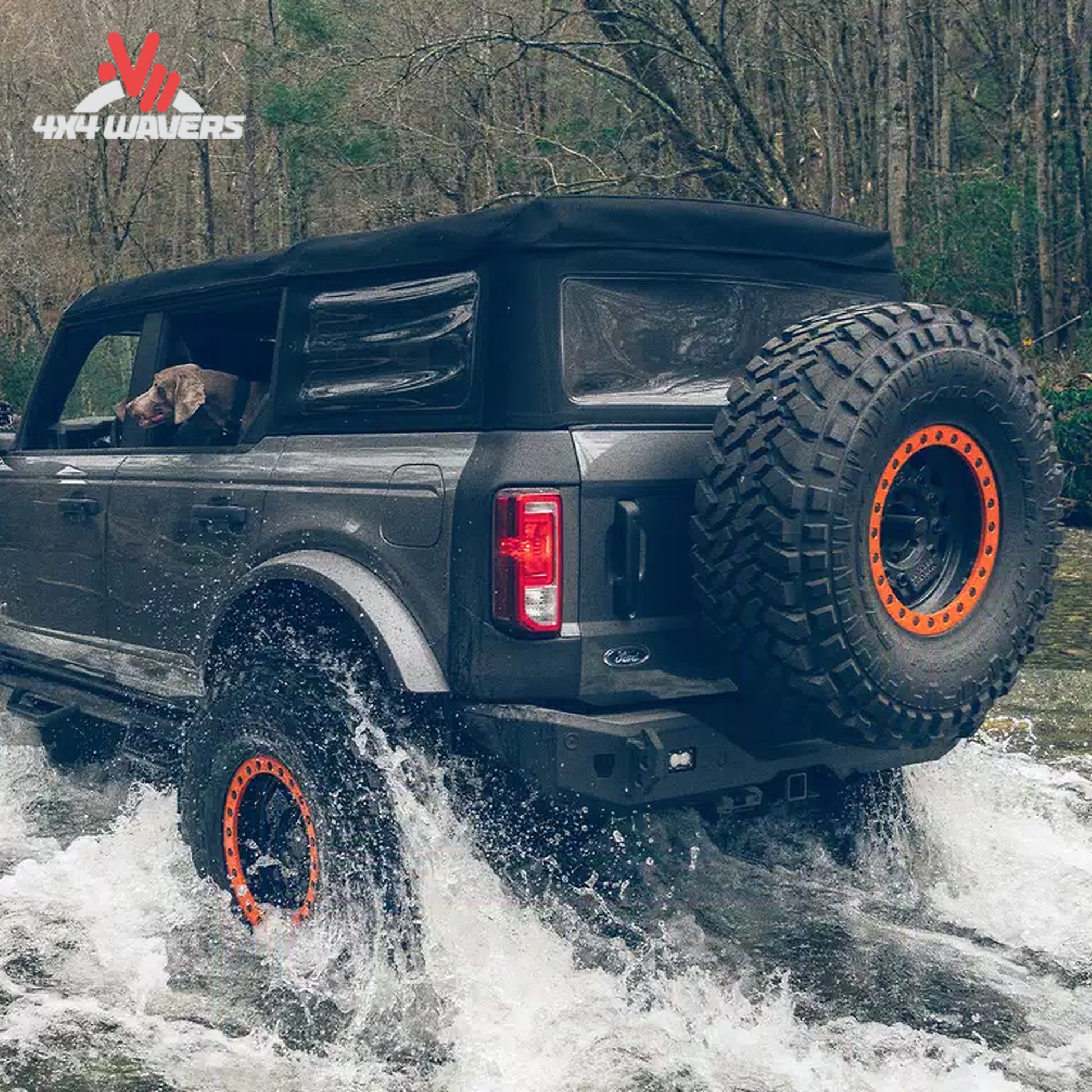 Havoc Bronco rear bumper LED pod light mounts